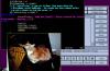 evilwm Screenshot