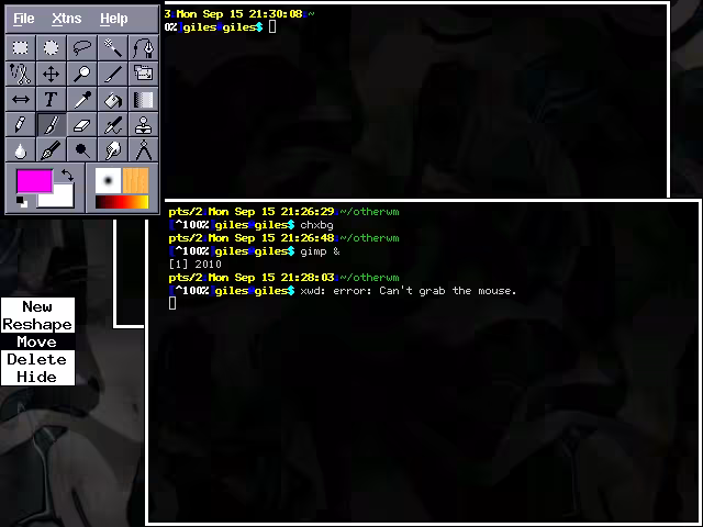 9wm Screenshot