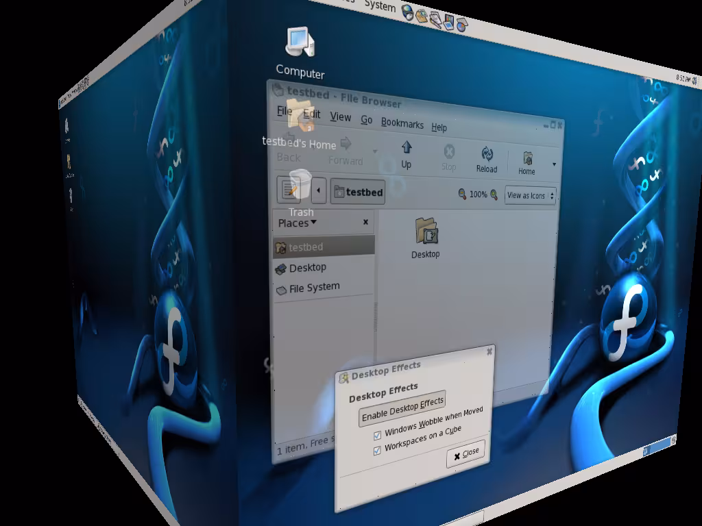 Compiz Screenshot